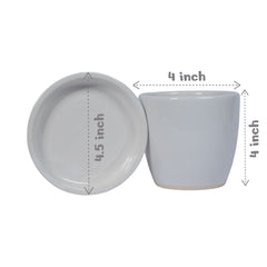 Njoy Pothos Money Plant in White Egg Round Shape Ceramic Planter with Plate