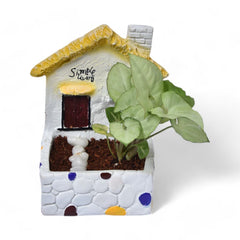 House and Plant Resin Gift