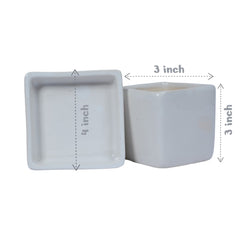 Njoy Pothos Money Plant in White Square Ceramic Planter with Plate