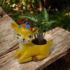 Deer Wink and Plant Resin Gift