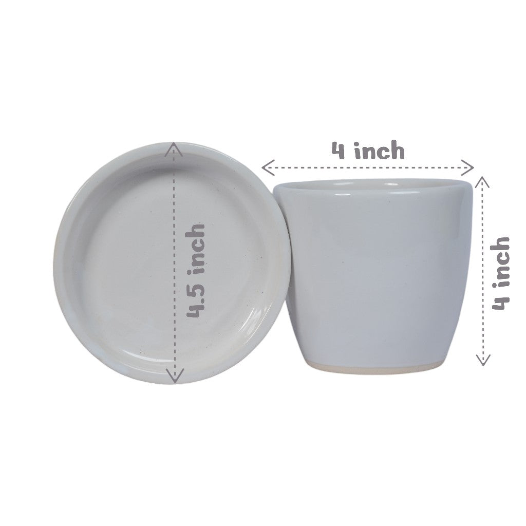 Njoy Pothos Money Plant in White Egg Round Shape Ceramic Planter with Plate